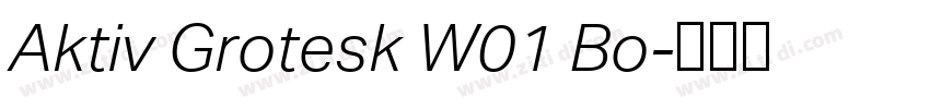 Aktiv Grotesk W01 Bo字体转换